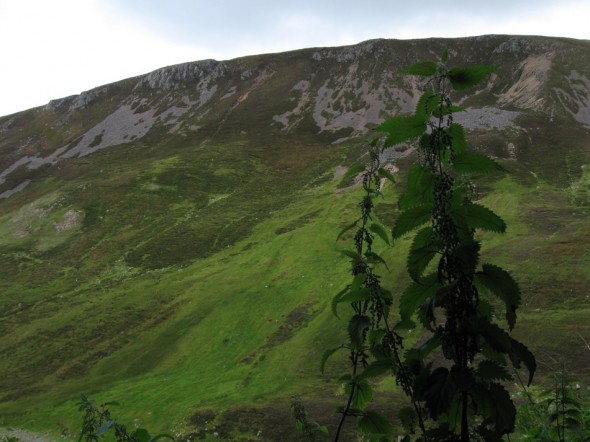 Creag nan Uamh 'Bone Caves' near Inchnadamph