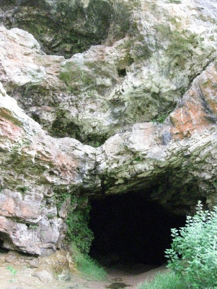 Entrance to cave