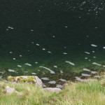 Loch Coire Mhic Fhearchair