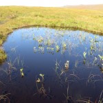The classic Foinaven range, north-west Sutherland – August