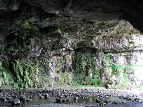 Walls of Smoo Cave entrance