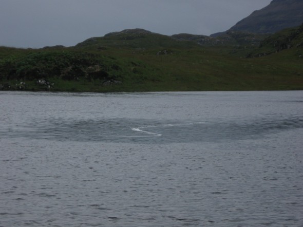 Winding pattern in water