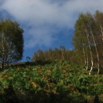 Kinlochleven to Blackwater Dam, and back along the conduit – September  |  ãƒ–ãƒ©ãƒƒã‚¯ã‚¦ã‚©ãƒ¼ã‚¿ãƒ¼ãƒ»ãƒ€ãƒ ã¾ã§ã€å¸°ã‚Šã¯å°Žç®¡ãŸã©ã‚Š