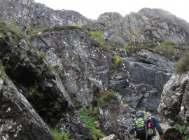 Protecting the pitch