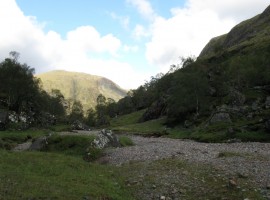 Like a landscaped garden