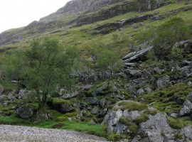 Like a landscaped garden