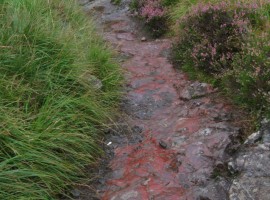 Red rock on the path out to the road