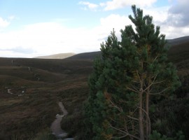 The path back to the car park