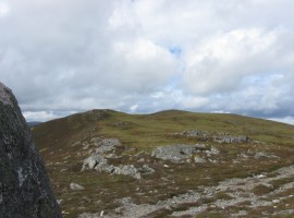 The next (twin) tops