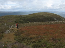 Red plants. Looking over to the last top, Craiggowrie