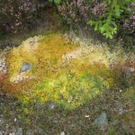 Wind and rain over Meall a’ Bhuachaille, Cairngorms, Scotland – September