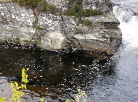 Looking into the water