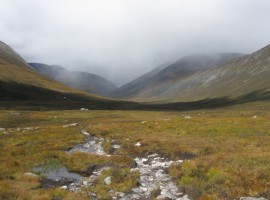 Light, shade, and moisture