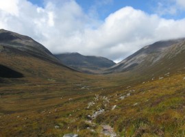 ... and it's cleared again