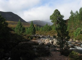 Many showers later ...