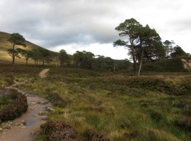 A wider path through Glen Luibeg