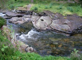 Looking for the Punch Bowl