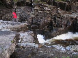 Getting a closer look at the linn