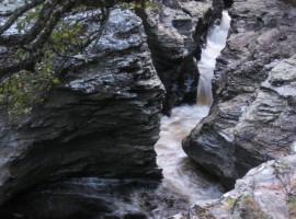 The tortuous movement of the water