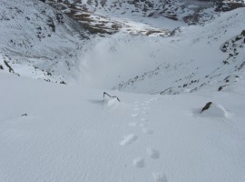 This is where we just came up