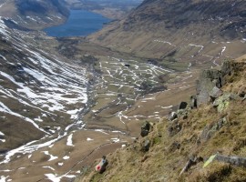 Same components, plus a sheep