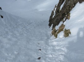 With patches of sunlight