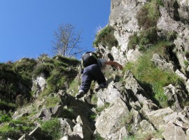 Jack's Rake scrambling