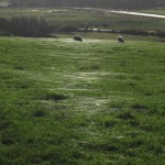 A circular walk from Lewes, East Sussex – November