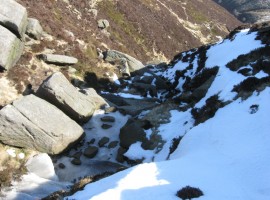 Ice remaining over the stream