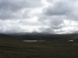 Loch in Dundonnell Forest