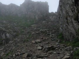 Second col of Lord's Rake