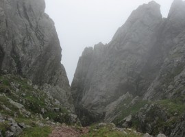Misty gully