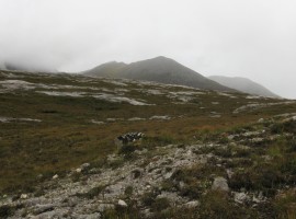 Glas Mheall Liath with Glas Mheall Mor behind