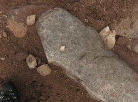 Little pale stone embedded in a rock