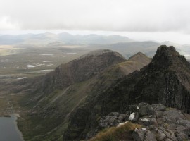 The Dundonnell Forest