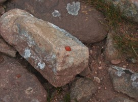 Another embedded stone