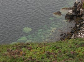 The clear water of Little Loch Broom