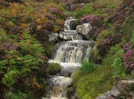 Waterfall along path to Scoraig