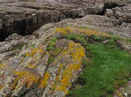 The rocks at Corran Scoraig