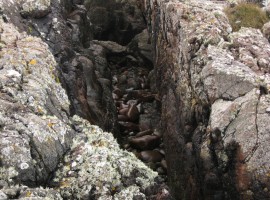 B jumped over this bit of gap