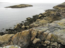 Low rock with sea birds