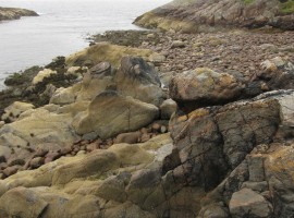 Odd-looking rocks on the shore