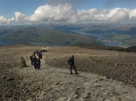 Down the Mountain Track