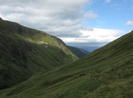 Looking back down the path
