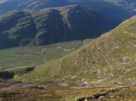 The floor of the glen