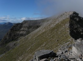 It is hard to get everything in the frame