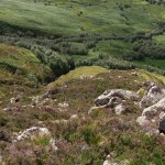 A heathery scramble near Ben Nevis, Lochaber, Scotland – September