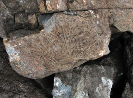 Interesting-looking rock forms