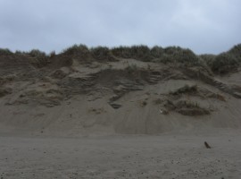 Dunes